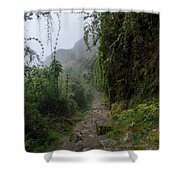 Misty Forest Pathway On The Inca Trail Shower Curtain