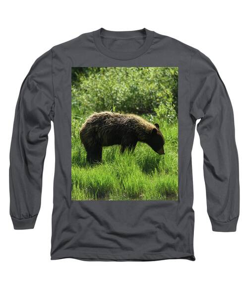 Solitary Bear In Grand Teton National Park Long Sleeve T-Shirt
