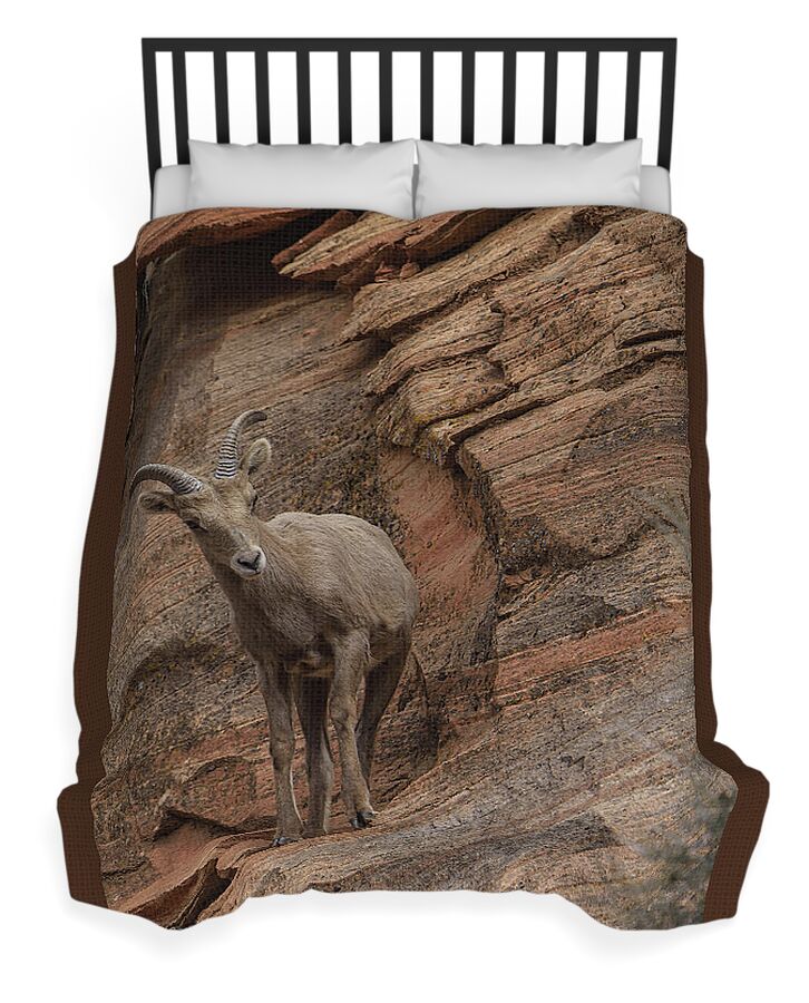 Bighorn Sheep On Rocky Terrain Duvet Cover