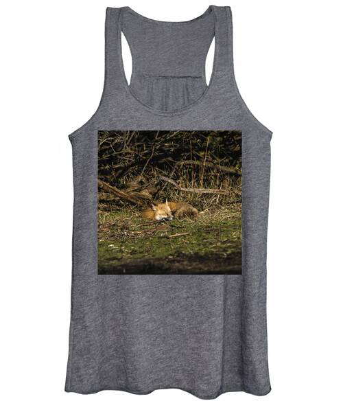 Peaceful Fox In Sunlit Meadow Women's Tank Top