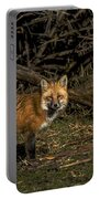 Fox In Sunlit Forest Clearing Portable Battery Charger