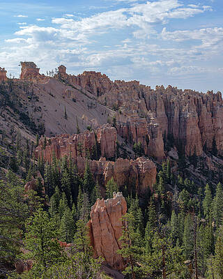 Majestic Bryce Canyon Hoodoos Wall Art
