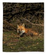 Fox Resting In Sunlit Clearing Fleece Blanket