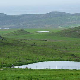 Tranquil Green Hills and Distant Sea by Brandon Wichmann