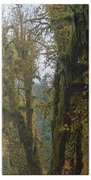 Moss-Covered Forest Trees Beach Towel