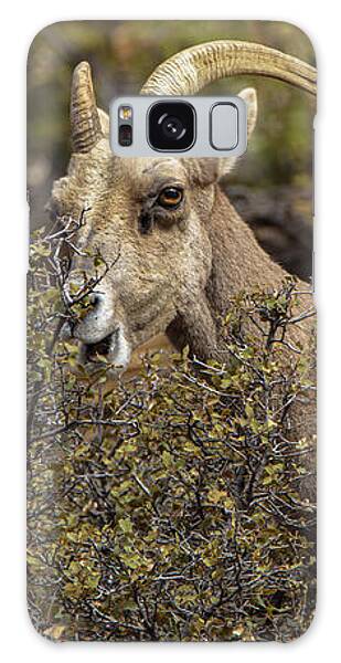 Bighorn Sheep in Zion National Park Galaxy Case by Brandon Wichmann