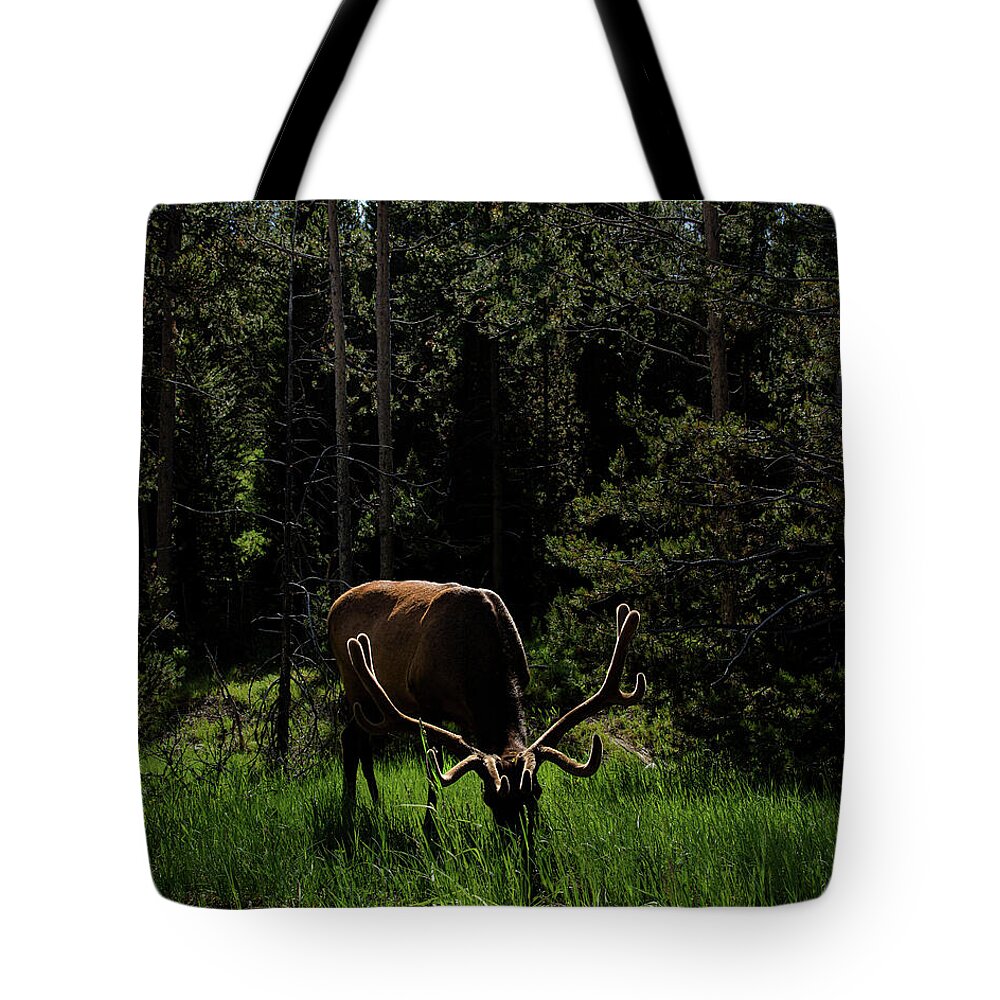 Wildlife Tote Bags