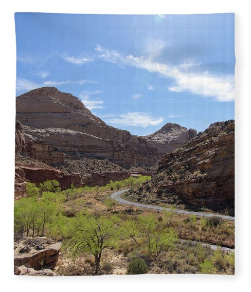 Winding Road Through Desert Canyon Fleece Blanket