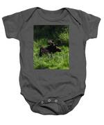 Moose Resting In Sunlit Meadow In Grand Teton National Park Baby One-Piece