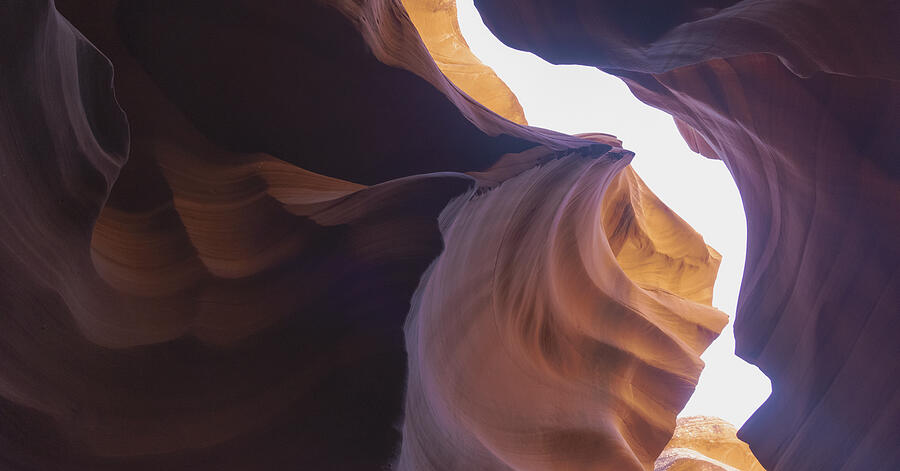 Antelope Canyon Curves and Light Play Photograph by Brandon Wichmann