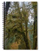 Moss-Covered Forest Trees Spiral Notebook