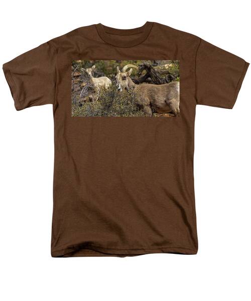 Mountain Goats in Natural Habitat Men's T-Shirt  (Regular Fit)