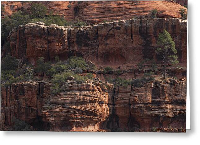 Majestic Red Rock Formations In Sedona Arizona Greeting Card
