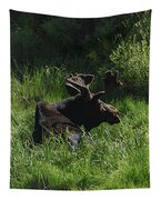 Moose Resting In Sunlit Meadow In Grand Teton National Park Tapestry