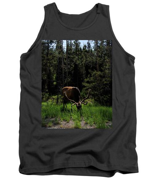 Elk Grazing In A Sunlit Forest In Grand Teton National Park Tank Top