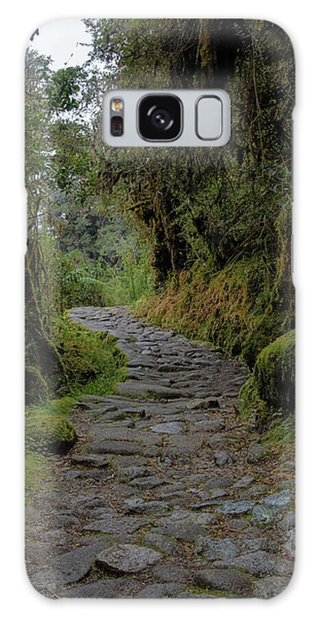 Moss-covered Path Through Lush Forest On The Inca Trail Galaxy Case