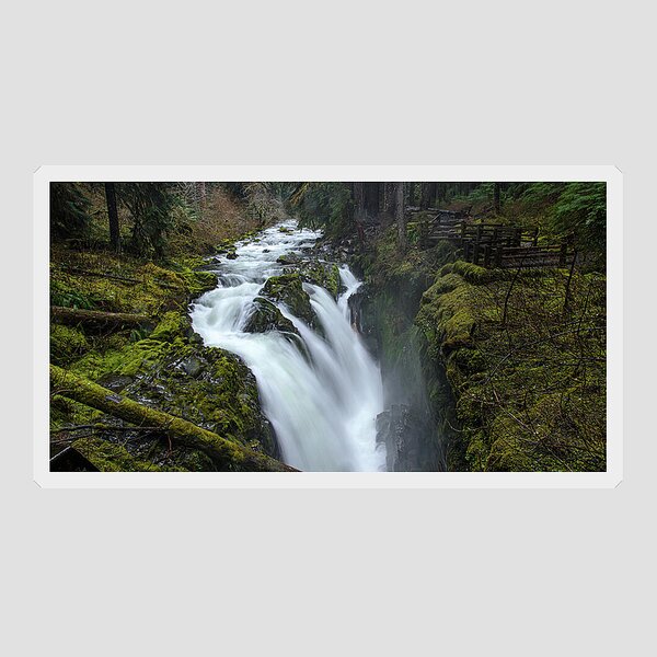 Serene Flow Through Mossy Forest Sticker