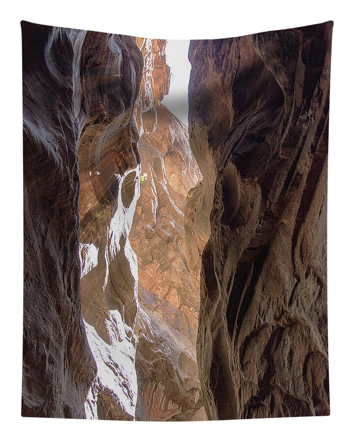 Sunlit Canyon Walls In The Narrows Tapestry