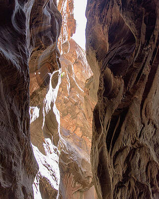 Wall Art featuring the photograph Sunlit Canyon Walls In The Narrows by Brandon Wichmann