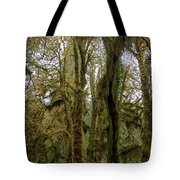 Moss-Covered Trees in a Dense Forest Tote Bag