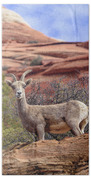 Big Horn Sheep In Zion National Park Bath Towel