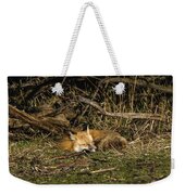 Peaceful Fox in Sunlit Meadow Weekender Tote Bag by Brandon Wichmann