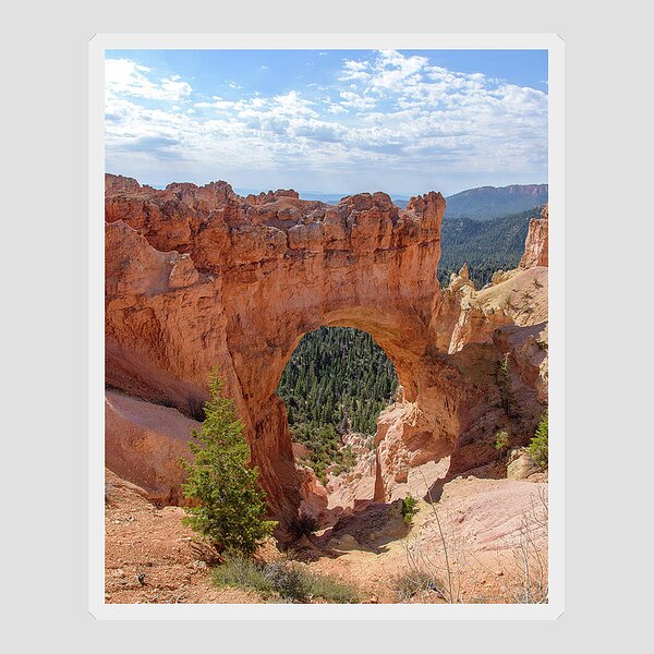 Majestic Natural Rock Arch In Bryce Canyon National Park Sticker