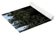 Elk Grazing In A Sunlit Forest In Grand Teton National Park Yoga Mat