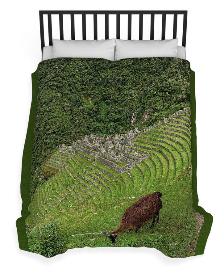 Winay Wayna With Grazing Llama Duvet Cover