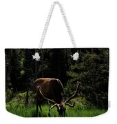 Elk Grazing In A Sunlit Forest In Grand Teton National Park Weekender Tote Bag