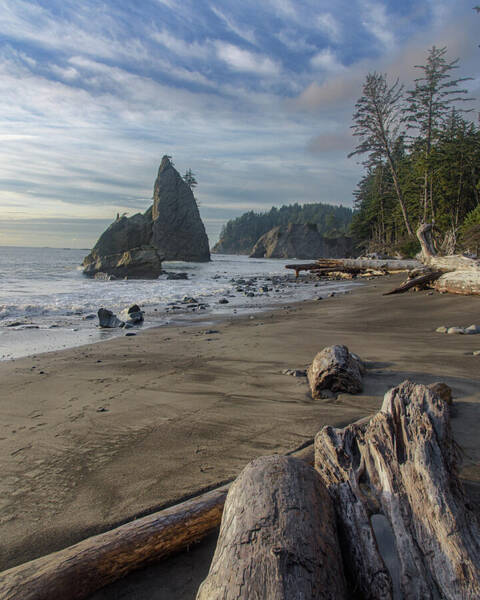 Rugged Coastal Landscape Art Print