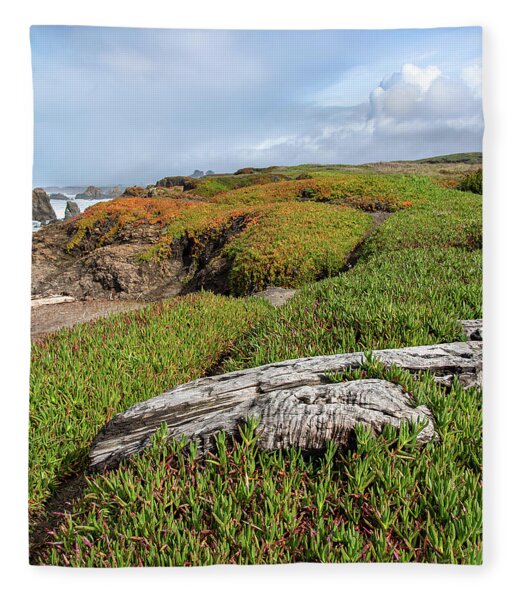 Coastal Landscape with Driftwood Fleece Blanket