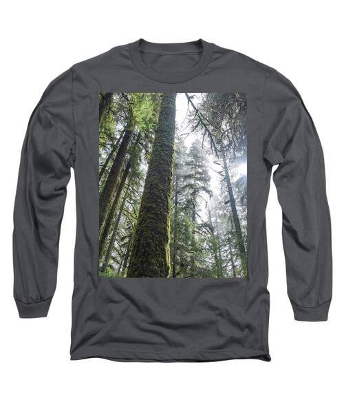 Majestic Forest Canopy In Olympic National Park Long Sleeve T-Shirt