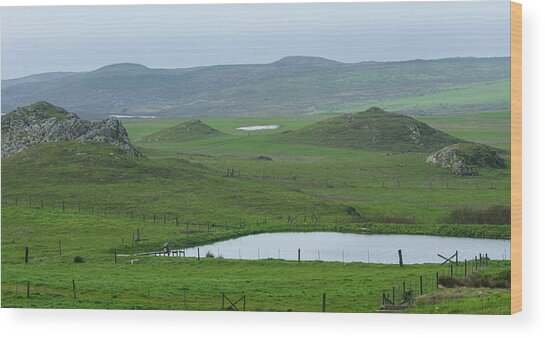 Tranquil Green Hills And Distant Sea Wood Print