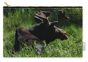 Moose Resting In Sunlit Meadow In Grand Teton National Park Zip Pouch