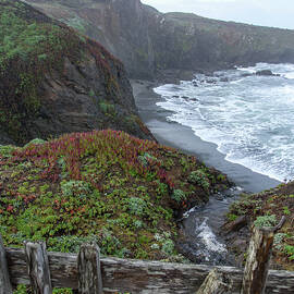 Rocky Coastline with Vibrant Foliage