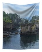Serene Coastal Rocky Landscape Tapestry