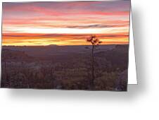 Serene Mountain Sunrise In Bryce Canyon National Park Greeting Card