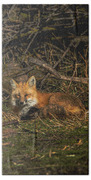 Fox Resting In Sunlit Clearing Bath Towel