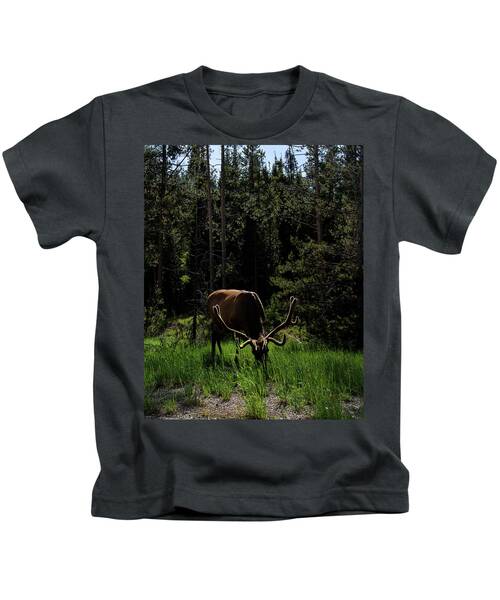 Wildlife Kids T-Shirts