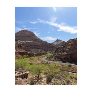 Winding Road Through Desert Canyon by Brandon Wichmann Winding Road Through Desert Canyon by Brandon Wichmann