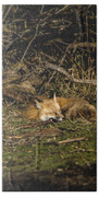 Peaceful Fox In Sunlit Meadow Bath Towel