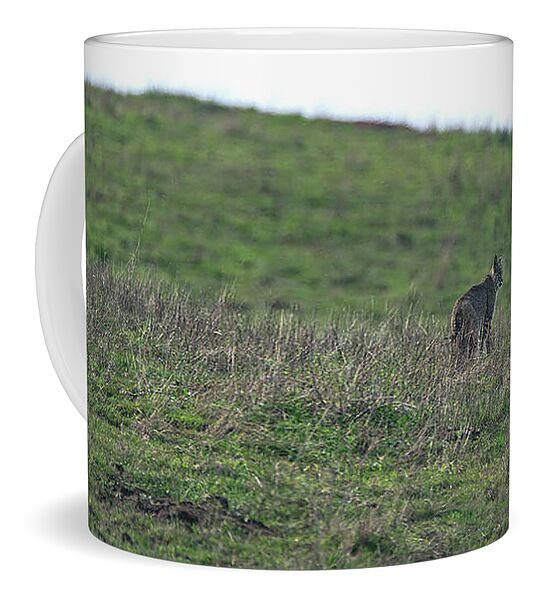 Bobcat in Grassy Field Coffee Mug