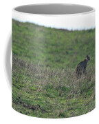 Bobcat in Grassy Field Coffee Mug