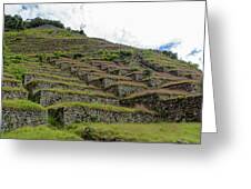 Ancient Terraces Amidst Greenery Greeting Card