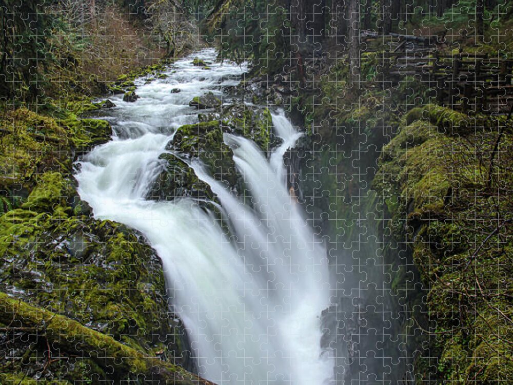 Serene Flow Through Mossy Forest Jigsaw Puzzle