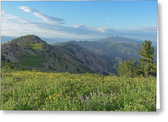 Mountain View with Wildflowers Greeting Card