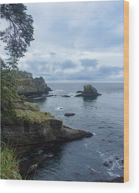 Rugged Coastal Landscape with Cliffs Wood Print