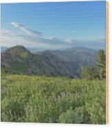 Mountain View with Wildflowers Wood Print