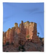 Majestic Sandstone Formations Of Bryce Canyon National Park Fleece Blanket